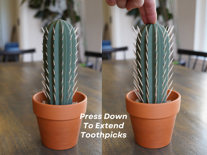 cactus toothpicker